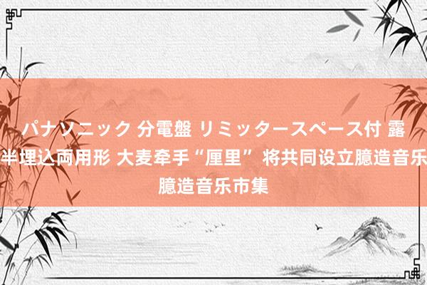 パナソニック 分電盤 リミッタースペース付 露出・半埋込両用形 大麦牵手“厘里” 将共同设立臆造音乐市集