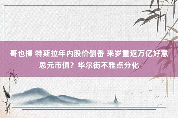 哥也操 特斯拉年内股价翻番 来岁重返万亿好意思元市值？华尔街不雅点分化