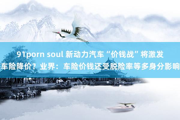 91porn soul 新动力汽车“价钱战”将激发车险降价？业界：车险价钱还受脱险率等多身分影响