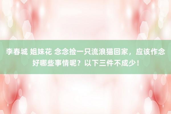 李春城 姐妹花 念念捡一只流浪猫回家，应该作念好哪些事情呢？以下三件不成少！