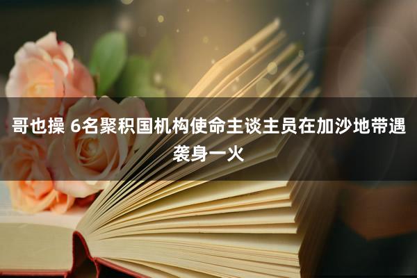 哥也操 6名聚积国机构使命主谈主员在加沙地带遇袭身一火