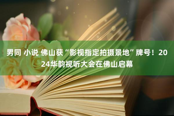 男同 小说 佛山获“影视指定拍摄景地”牌号！2024华韵视听大会在佛山启幕