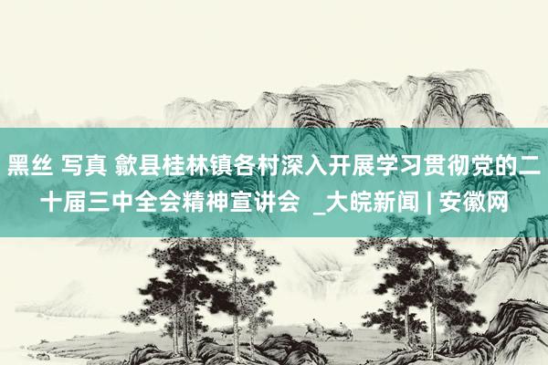 黑丝 写真 歙县桂林镇各村深入开展学习贯彻党的二十届三中全会精神宣讲会  _大皖新闻 | 安徽网