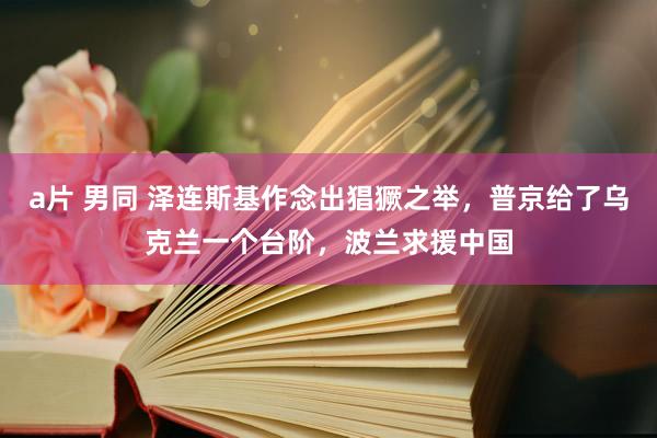 a片 男同 泽连斯基作念出猖獗之举，普京给了乌克兰一个台阶，波兰求援中国