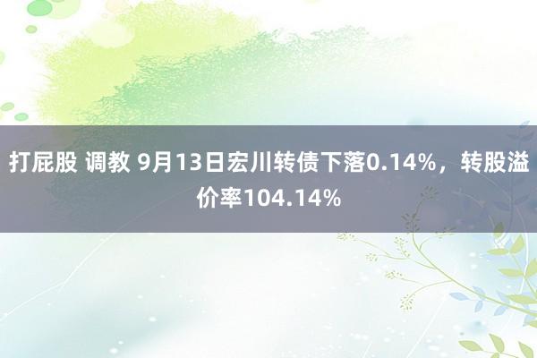 打屁股 调教 9月13日宏川转债下落0.14%，转股溢价率104.14%