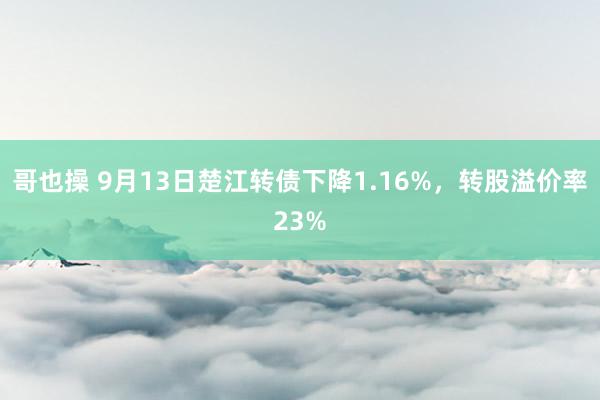 哥也操 9月13日楚江转债下降1.16%，转股溢价率23%