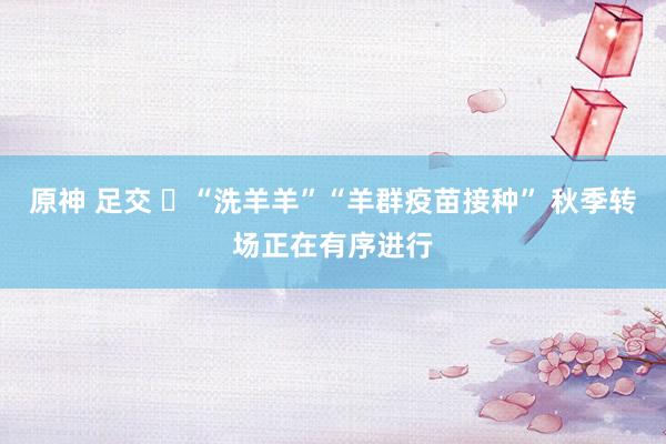 原神 足交 ‬“洗羊羊”“羊群疫苗接种” 秋季转场正在有序进行