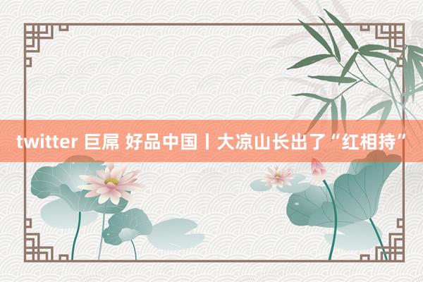 twitter 巨屌 好品中国丨大凉山长出了“红相持”