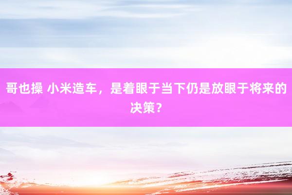 哥也操 小米造车，是着眼于当下仍是放眼于将来的决策？