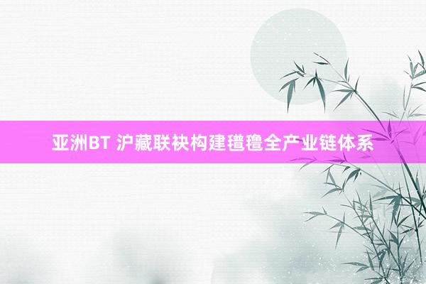 亚洲BT 沪藏联袂构建氆氇全产业链体系