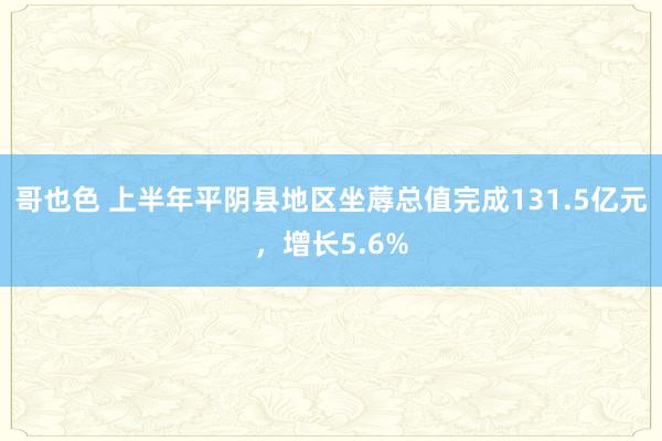 哥也色 上半年平阴县地区坐蓐总值完成131.5亿元，增长5.6%