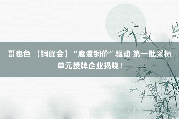 哥也色 【铜峰会】“鹰潭铜价”驱动 第一批采标单元授牌企业揭晓！