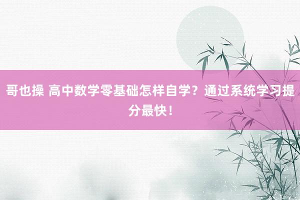哥也操 高中数学零基础怎样自学？通过系统学习提分最快！
