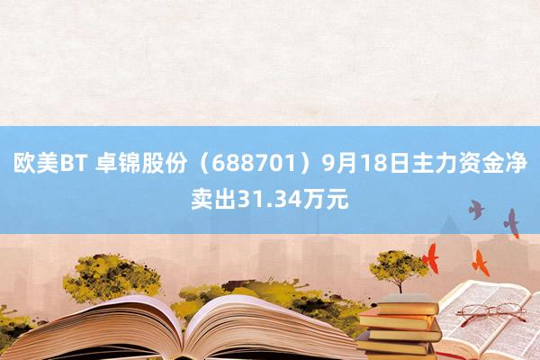 欧美BT 卓锦股份（688701）9月18日主力资金净卖出31.34万元