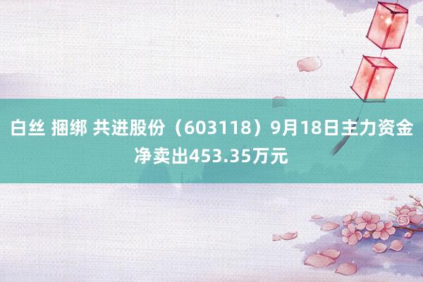 白丝 捆绑 共进股份（603118）9月18日主力资金净卖出453.35万元