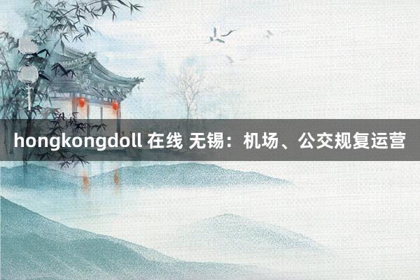 hongkongdoll 在线 无锡：机场、公交规复运营
