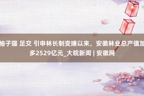 柚子猫 足交 引申林长制变嫌以来，安徽林业总产值加多2529亿元_大皖新闻 | 安徽网