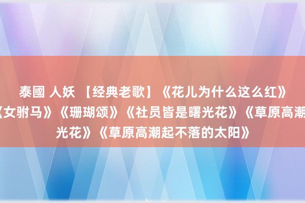 泰國 人妖 【经典老歌】《花儿为什么这么红》《蝴蝶泉边》《女驸马》《珊瑚颂》《社员皆是曙光花》《草原高潮起不落的太阳》