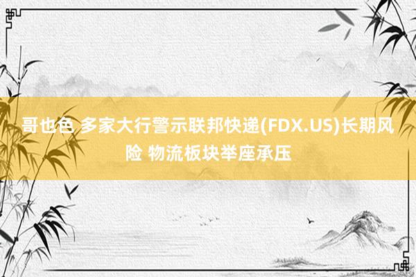 哥也色 多家大行警示联邦快递(FDX.US)长期风险 物流板块举座承压