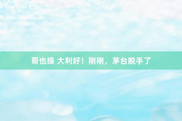 哥也操 大利好！刚刚，茅台脱手了