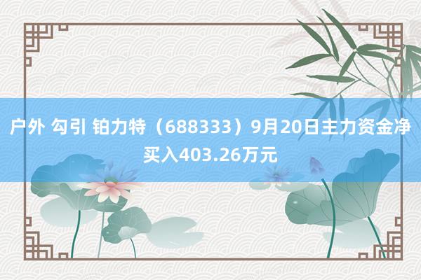 户外 勾引 铂力特（688333）9月20日主力资金净买入403.26万元