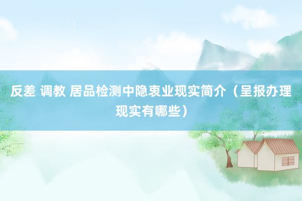 反差 调教 居品检测中隐衷业现实简介（呈报办理现实有哪些）