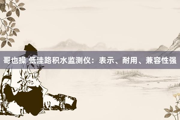 哥也操 低洼路积水监测仪：表示、耐用、兼容性强