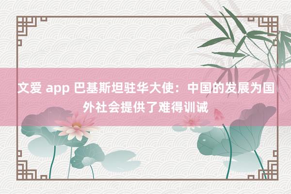 文爱 app 巴基斯坦驻华大使：中国的发展为国外社会提供了难得训诫