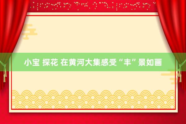 小宝 探花 在黄河大集感受“丰”景如画
