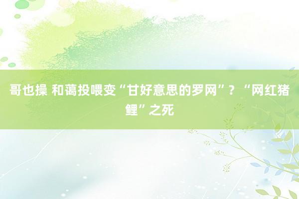 哥也操 和蔼投喂变“甘好意思的罗网”？“网红猪鲤”之死