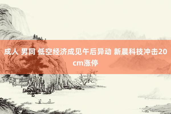 成人 男同 低空经济成见午后异动 新晨科技冲击20cm涨停