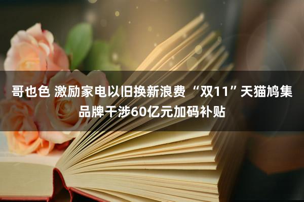 哥也色 激励家电以旧换新浪费 “双11”天猫鸠集品牌干涉60亿元加码补贴