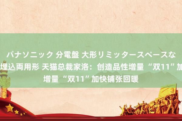 パナソニック 分電盤 大形リミッタースペースなし 露出・半埋込両用形 天猫总裁家洛：创造品性增量 “双11”加快铺张回暖