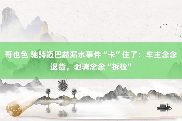 哥也色 驰骋迈巴赫漏水事件“卡”住了：车主念念退货，驰骋念念“拆检”