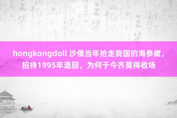 hongkongdoll 沙俄当年抢走我国的海参崴，招待1995年退回，为何于今齐莫得收场