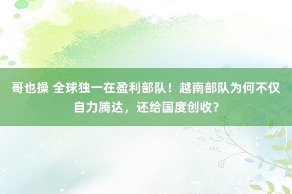 哥也操 全球独一在盈利部队！越南部队为何不仅自力腾达，还给国度创收？