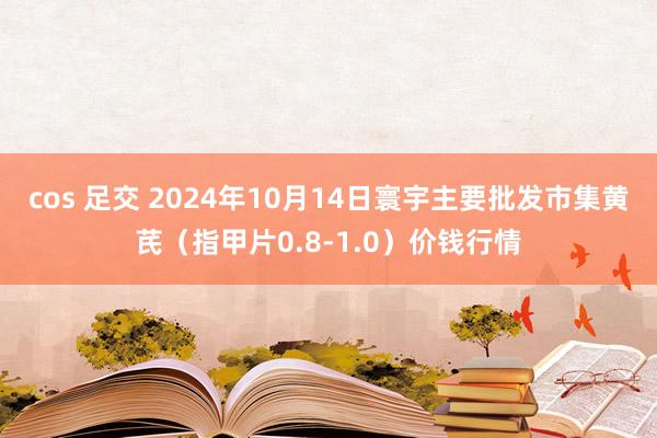 cos 足交 2024年10月14日寰宇主要批发市集黄芪（指甲片0.8-1.0）价钱行情