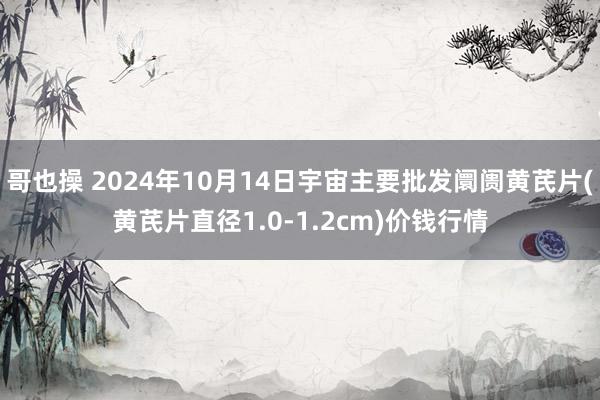 哥也操 2024年10月14日宇宙主要批发阛阓黄芪片(黄芪片直径1.0-1.2cm)价钱行情