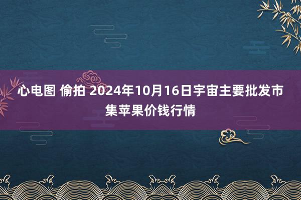 心电图 偷拍 2024年10月16日宇宙主要批发市集苹果价钱行情
