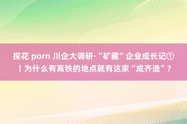 探花 porn 川企大调研·“矿藏”企业成长记①丨为什么有高铁的地点就有这家“成齐造”？