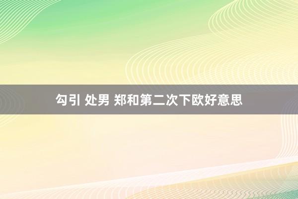 勾引 处男 郑和第二次下欧好意思