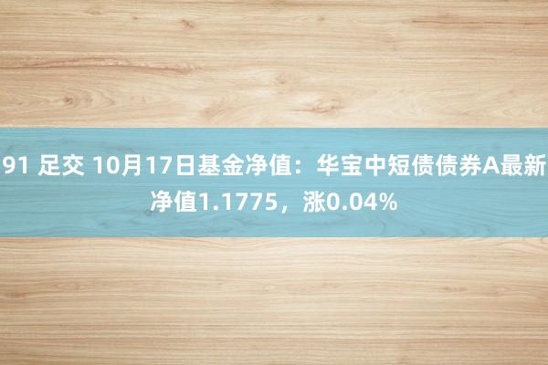 91 足交 10月17日基金净值：华宝中短债债券A最新净值1.1775，涨0.04%
