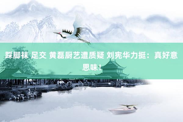 踩脚袜 足交 黄磊厨艺遭质疑 刘宪华力挺：真好意思味！