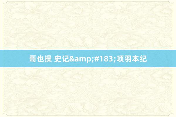 哥也操 史记&#183;项羽本纪
