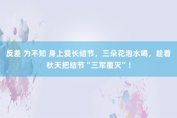 反差 为不知 身上爱长结节，三朵花泡水喝，趁着秋天把结节“三军覆灭”！