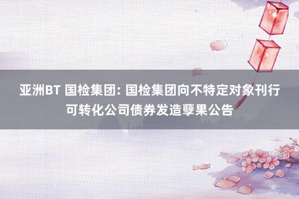 亚洲BT 国检集团: 国检集团向不特定对象刊行可转化公司债券发造孽果公告