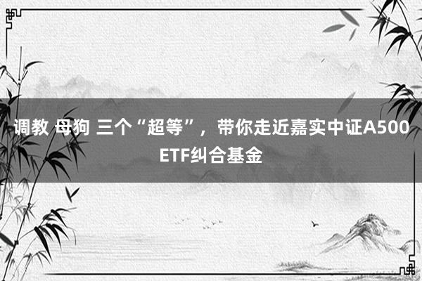 调教 母狗 三个“超等”，带你走近嘉实中证A500ETF纠合基金