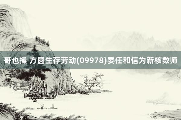 哥也操 方圆生存劳动(09978)委任和信为新核数师