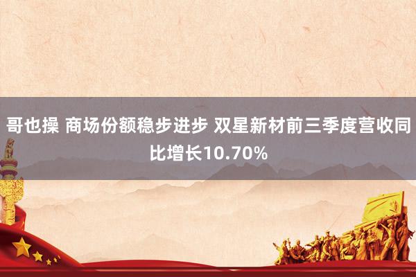 哥也操 商场份额稳步进步 双星新材前三季度营收同比增长10.70%