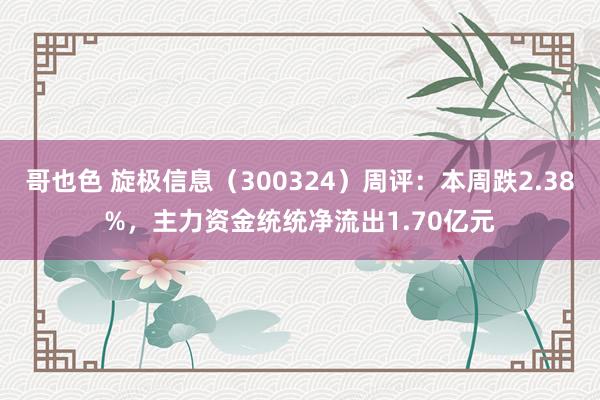 哥也色 旋极信息（300324）周评：本周跌2.38%，主力资金统统净流出1.70亿元